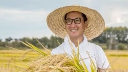 退婚后成了亿万富翁短剧在线资讯  退婚后成了亿万富翁短剧在线资讯，退婚后成了亿万富翁短剧，财富人生--第1张