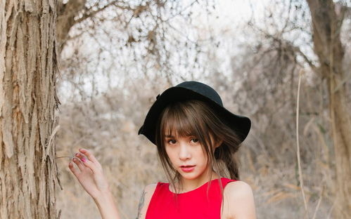 我的冰山美女老婆短剧在线资讯  我的冰山美女老婆短剧在线资讯，我的冰山美女老婆，短剧在线爆料--第1张
