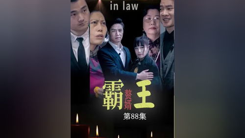 赘婿归来短剧在线资讯  赘婿归来短剧在线资讯--第1张