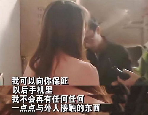 离婚后傅总追妻跪求原谅短剧在线资讯  离婚后傅总追妻跪求原谅短剧在线资讯，离婚后傅总追妻跪求原谅，短剧在线资讯--第1张