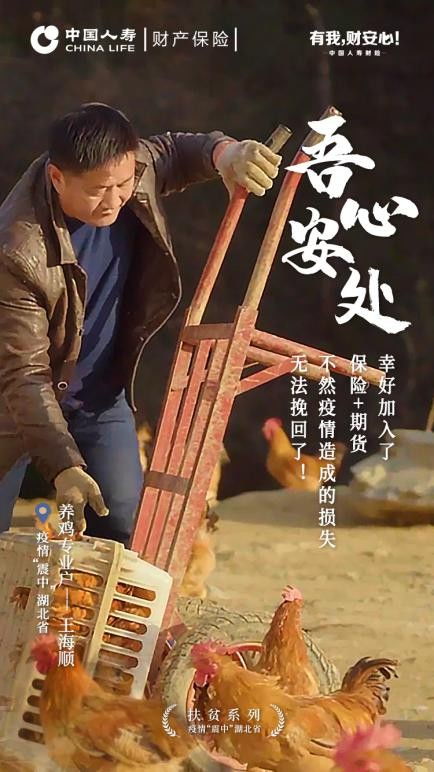 千钧一发之局中局长篇短剧在线资讯  千钧一发之局中局长篇短剧在线资讯，千钧一发之局中局长篇短剧，局长如何智破危机--第1张