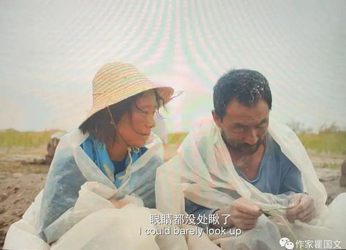 爱恨隐入尘烟短剧在线资讯  爱恨隐入尘烟，一部短剧的在线资讯，爱恨隐入尘烟短剧预告片在线观看--第1张