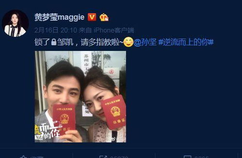 物价贬值后被女明星倒追短剧在线资讯  物价贬值后被女明星倒追短剧在线资讯，物价贬值后，女明星的倒追短剧--第1张