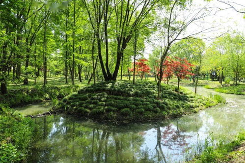 千金归来她带着四宝惊艳全城大小姐驾到她带着四宝惊艳全城短剧在线资讯  千金归来她带着四宝惊艳全城大小姐驾到她带着四宝惊艳全城短剧在线资讯--第1张