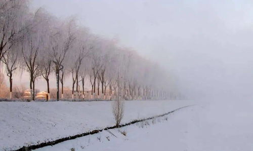 雪落下的声音短剧在线资讯  雪落下的声音--第1张