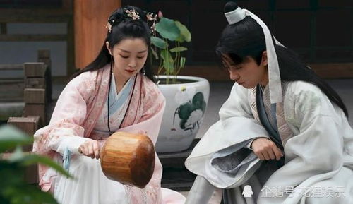 赘婿帮派老大结局_赘婿势力--第1张