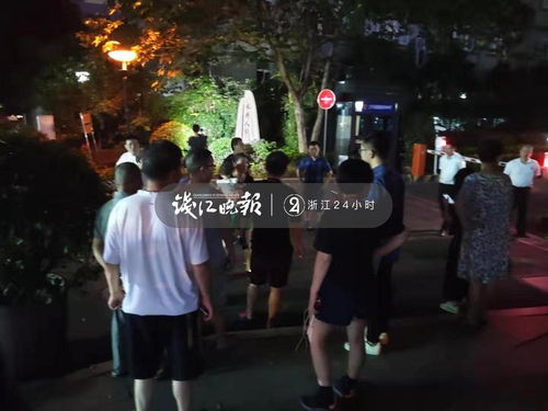 女儿跳楼后我重回年短剧在线资讯  女儿跳楼后我重回年短剧在线资讯--第1张