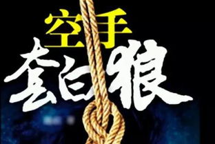 重生八九空手套白狼短剧在线资讯  重生八九，空手套白狼短剧在线资讯--第1张