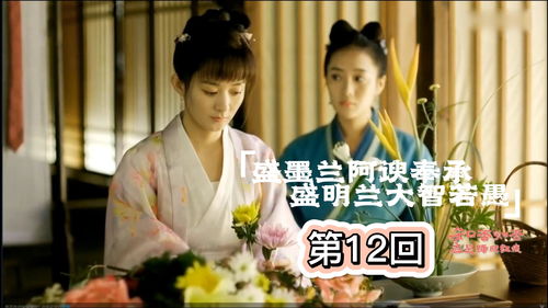 长公主架到短剧在线资讯  长公主驾到短剧在线资讯——揭秘热门剧集背后的故事，长公主驾到短剧在线资讯，热门剧集背后的故事--第1张