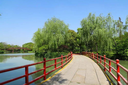 千金归来她带着四宝惊艳全城大小姐驾到她带着四宝惊艳全城短剧在线资讯  千金归来她带着四宝惊艳全城大小姐驾到她带着四宝惊艳全城短剧在线资讯--第1张