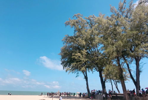 游过爱情的海其实也没那么爱你短剧在线资讯  游过爱情的海其实也没那么爱你--第1张