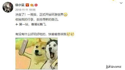雀笼离职后我被老板宠上天短剧在线资讯  雀笼离职后我被老板宠上天短剧在线资讯，雀笼离职后，我被老板宠上天，短剧在线资讯--第1张