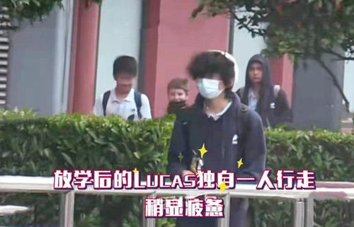 顶流明星的贴身保镖短剧在线资讯  顶流明星的贴身保镖，短剧在线资讯--第1张