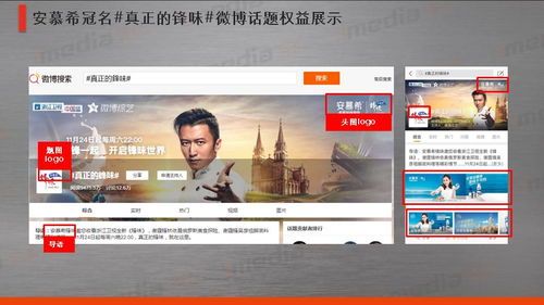 藏锋短剧在线资讯  藏锋短剧，在线资讯的全新体验，藏锋短剧，在线观看全新体验的短剧平台--第1张