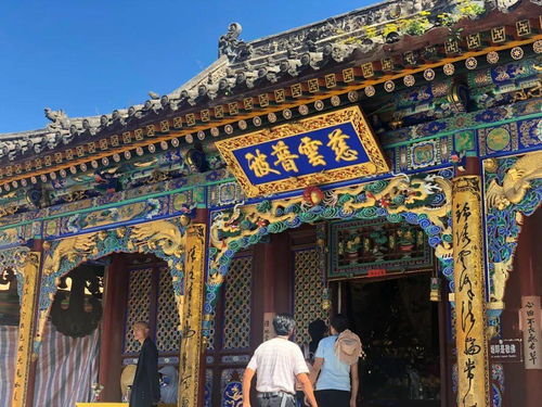 泰山府君短剧免费资讯  泰山府君短剧免费资讯，泰山府君短剧免费观看资讯--第1张