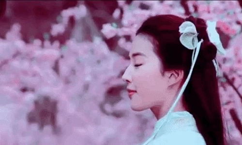 真千金带龙凤双宝惊艳全球短剧免费资讯  ，真千金带龙凤双宝惊艳全球短剧免费资讯--第1张