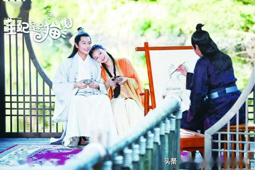 报告王爷王妃她又开挂了短剧免费资讯  报告王爷王妃她又开挂了！短剧免费资讯，报告王爷王妃她又开挂了！短剧免费资讯--第1张