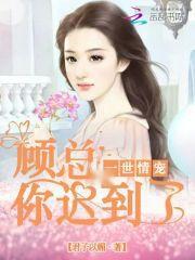顾总的二婚娇妻短剧免费资讯  顾总的二婚娇妻短剧免费资讯，顾总的二婚娇妻免费资讯，短剧剧集介绍--第1张