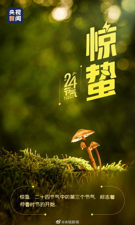 惊蛰短剧免费资讯  惊蛰短剧免费资讯，惊蛰短剧免费资讯，惊蛰时节短剧推荐--第1张