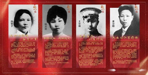 白金年代短剧免费资讯  白金年代短剧免费资讯，白金年代，短剧免费资讯--第1张