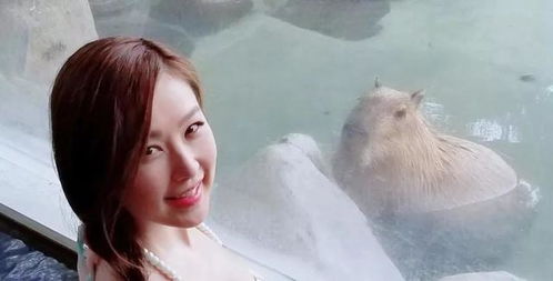 闪婚后路少竟然是我未婚夫短剧免费资讯  闪婚后路少竟然是我未婚夫短剧免费资讯，闪婚后，路少竟然是我未婚夫免费短剧资讯--第1张