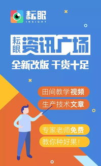 极品黄金眼短剧免费资讯  极品黄金眼短剧免费资讯--第1张