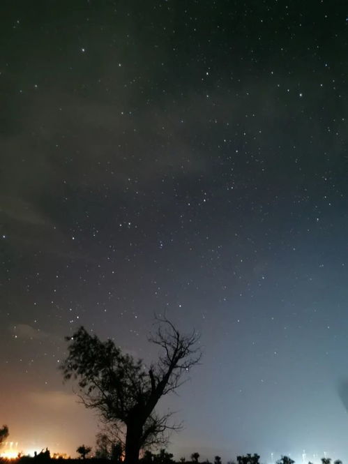 许下漫天星空短剧免费资讯  许下漫天星空短剧免费资讯--第1张