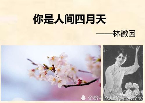 你是人间四月天短剧免费资讯  你是人间四月天短剧免费资讯--第1张