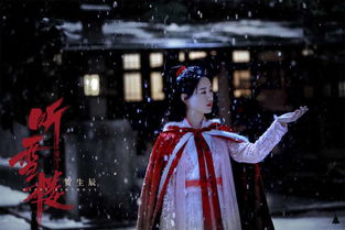 热血女侠短剧免费资讯  热血女侠短剧免费资讯，热血女侠短剧免费资讯，一场惊心动魄的武侠之旅--第1张