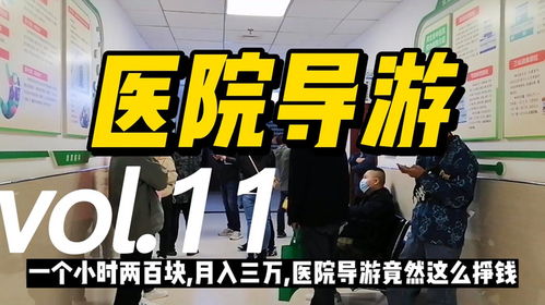 月入三千当首富短剧免费资讯  月入三千当首富短剧免费资讯，月入三千当首富短剧免费资讯，轻松致富的秘诀--第1张