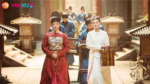 大明皇太子短剧免费资讯  大明皇太子短剧免费资讯，大明皇太子短剧免费资讯，皇室秘闻与宫廷风云--第1张