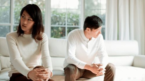 离婚后前妻跪求复合短剧免费资讯  离婚后前妻跪求复合短剧免费资讯--第1张