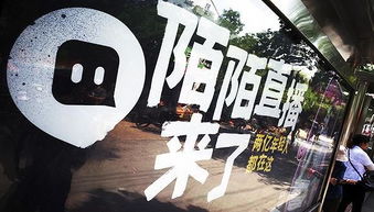 我靠颜值崛起了短剧免费资讯  我靠颜值崛起了，短剧免费资讯，颜值爆表！我靠颜值崛起了短剧免费资讯--第1张