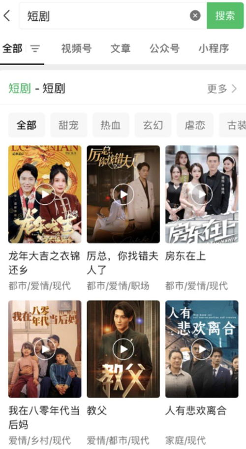 肆意招惹短剧免费资讯  肆意招惹短剧免费资讯——揭秘热门短剧背后的故事，肆意招惹短剧免费资讯，热门短剧背后的故事揭秘--第1张