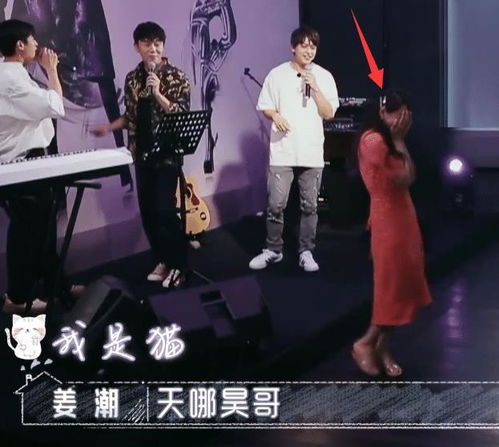 秦总您的戏精老婆又作妖了短剧免费资讯 秦总您的戏精老婆又作妖了短剧免费资讯--第1张