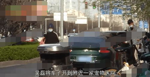 神豪崛起短剧免费资讯 神豪崛起短剧免费资讯，神豪崛起短剧免费资讯，神豪崛起的神秘力量--第1张