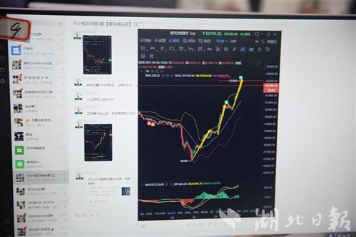  妈咪有人冒充你！天才四宝团宠妈咪毛娜短剧免费资讯--第1张