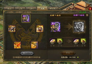 《朱雀》 朱雀令短剧免费资讯，朱雀令短剧免费观看，朱雀家族的复仇之路--第1张