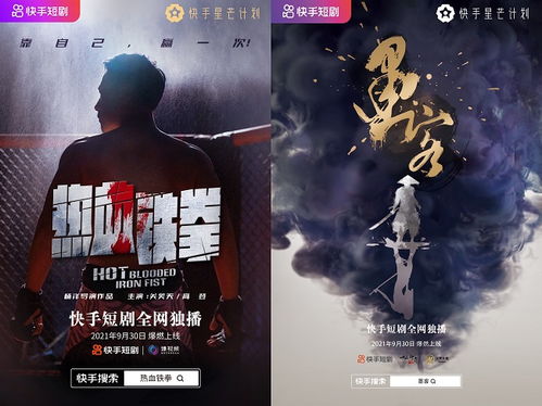 重生崛起短剧免费资讯在线观看 重生崛起，短剧免费资讯--第1张