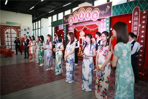 你给我电视剧妈妈 妈，我给您复仇了！——热播短剧资讯--第1张