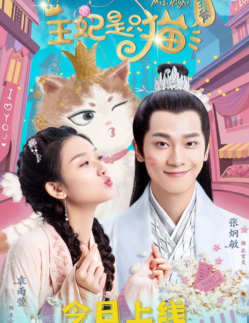  报告王爷王妃她又开挂了，热播短剧资讯--第1张