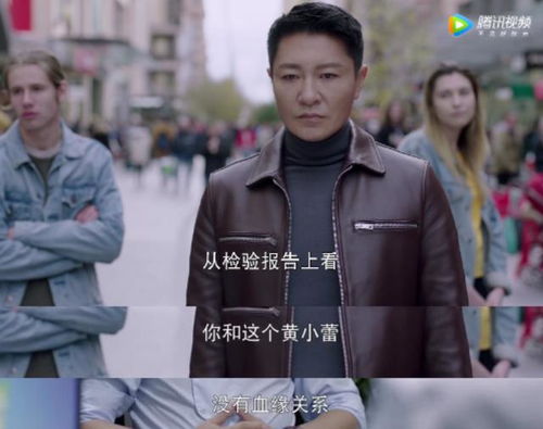 前夫我们不回头免费读 前夫我们不熟，热播短剧资讯，前夫我们不回头，热播短剧不回头免费阅读，前夫我们不熟--第1张