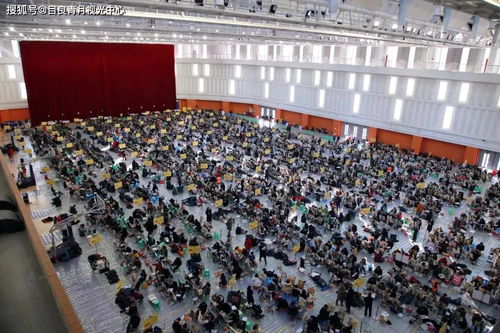  校园千金又美又飒热播短剧资讯--第1张