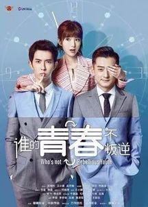 鉴宝无双电视剧 鉴宝无双，热播短剧资讯大揭秘--第1张