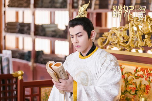 太子妃驾到总裁你别跑热播短剧资讯 太子妃驾到总裁你别跑热播短剧资讯--第1张