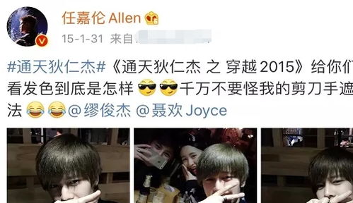 领证后沈太太杀疯了，热播短剧资讯--第1张
