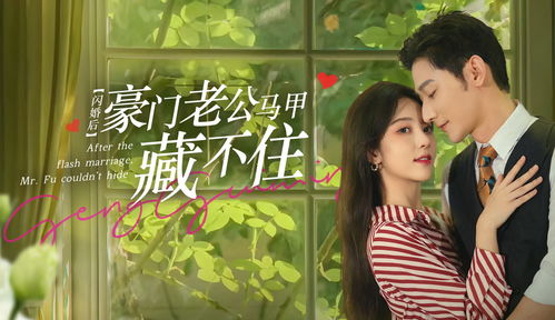 豪门闪婚，彩礼谈崩后，我嫁入豪门老公--第1张
