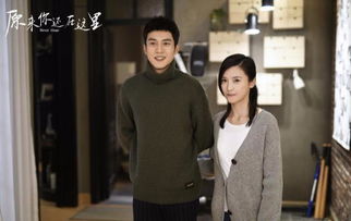 绝世狼婿热播短剧资讯--第1张
