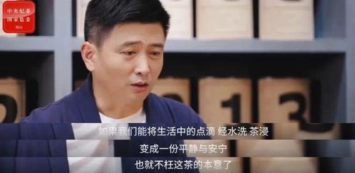 我有钞能力，热播短剧资讯--第1张