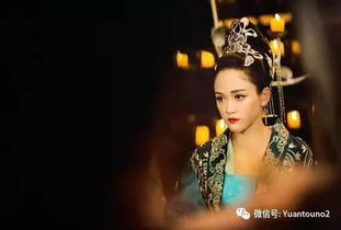 东宫弃妃热播短剧资讯--第1张